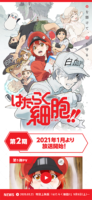 TVアニメ「はたらく細胞!!」 SP画像