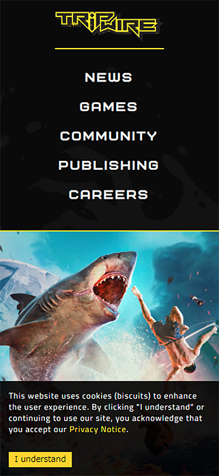 Tripwire Interactive LLC SP画像