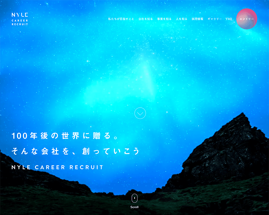 キャリア採用 | ナイル株式会社 PC画像