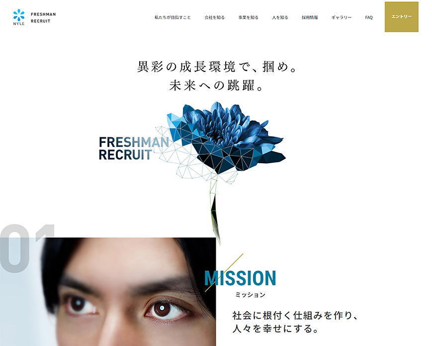 新卒採用情報 | ナイル株式会社 PC画像