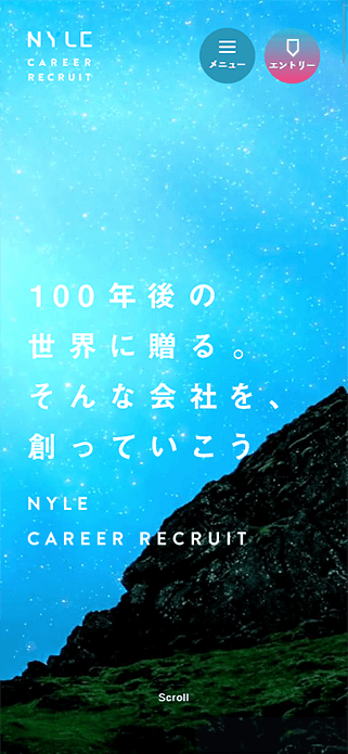 キャリア採用 | ナイル株式会社 SP画像